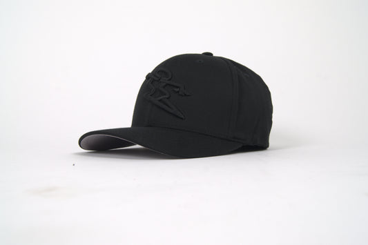 FLEXFIT HAT - BLACK / BLACK